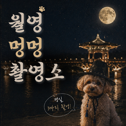 월영 멍멍 촬영소